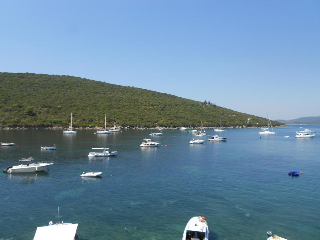 Apartments Vila Lazarevic Tivat Eksteriør bilde